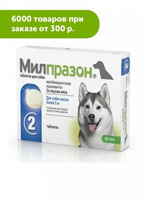 Милпразон таблетки при нематодозах, цестодозах и ассоциативных нематодо-цестодозных инвазиях у собак более 5кг 2таб 12,5мг/125мг
