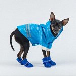 🐾 Защита от дождя и грязи! Стильная одежда для собак