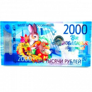 Сувенирный магнит - Деньги - 2000р