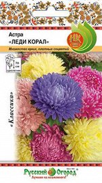 Цветы Астра Леди Корал специальная смесь (50шт)