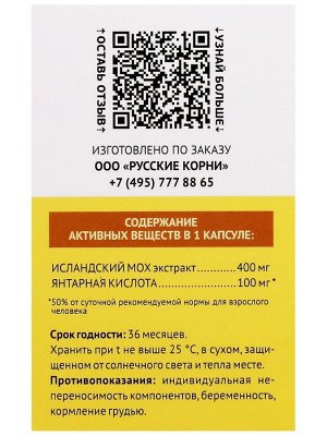 Исландский мох + Янтарная кислота, 60 капс.
