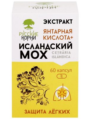 Исландский мох + Янтарная кислота, 60 капс.