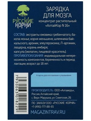 Капсулы "Brain charger" Зарядка для мозгов с ежовиком, женьшенем, L-аргинином. 60 капсул