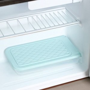 Контейнер для холодильника Доляна, 30х17х6,5 см, цвет МИКС