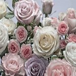 Фотообои Цветы розы