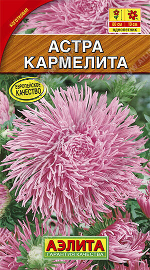 Астра Кармелита