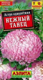 Астра Нежный танец