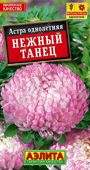 Астра Нежный танец