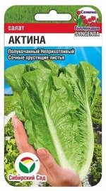 Салат Актина (Код: 90146)