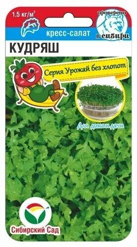 Кресс-салат Кудряш (Код: 90150)