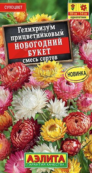 Гелихризум Новогодний букет (смесь) (Код: 89968)