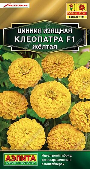 Цинния Клеопатра F1 желтая (Код: 89984)