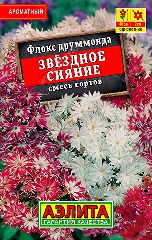 Флокс Звездное сияние (смесь) лидер (Код: 90089)