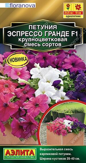 Петуния Эспрессо Гранде (Код: 89973)