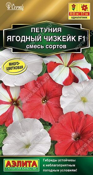 Петуния Ягодный чизкейк (Код: 89974)