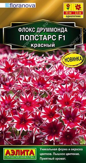 Флокс Попстарс красный (Код: 89976)