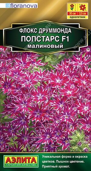 Флокс Попстарс малиновый (Код: 89978)