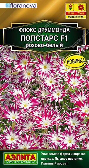 Флокс Попстарс розово-белый (Код: 89979)