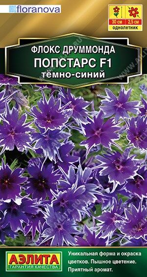 Флокс Попстарс темно-синий (Код: 89980)