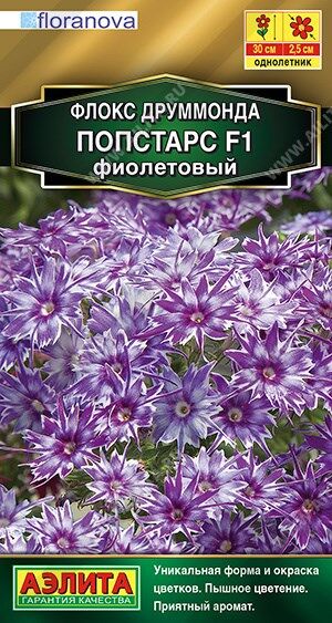 Флокс Попстарс фиолетовый (Код: 89981)