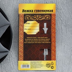 Ложка чайная «Глава семьи», на открытке, 3 х 14 см.