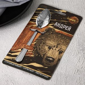 Ложка чайная именная «Андрей», 3x14 см