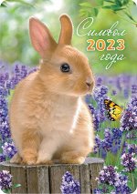 Карманный календарь на 2023 год &quot;Символ года - Кролик&quot;