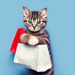 🐾 Забота о вашем питомце — наша миссия! Зоо аптека для кошек