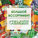 Семена! Большой выбор, в наличии