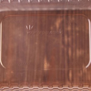 Контейнер одноразовый «Южуралпак», КР-179, 2000 гр, 17,9x13,2x13 см, цвет прозрачный