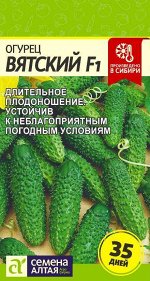 Огурец Вятский F1 6шт