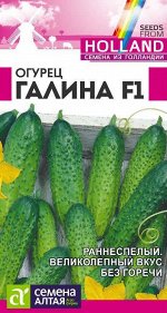 Огурец Галина F1 5 шт. Seminis (Голландские Семена)