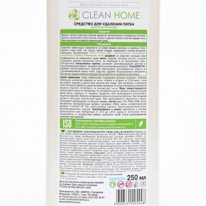 Пятновыводитель Clean home «Быстрое решение», гель, 250 мл