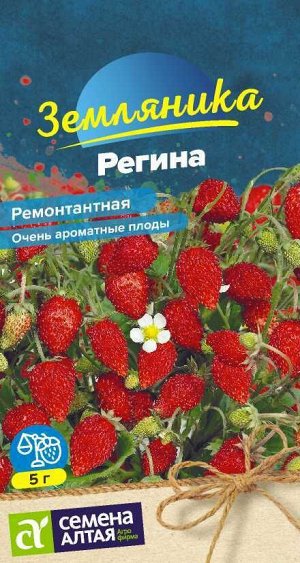 Земляника Регина ремонтантная 0,04 гр