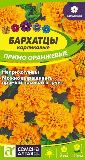 Бархатцы Примо Оранжевые карликовые/Сем Алт/цп 0,2 гр.