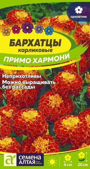 Бархатцы Примо Хармони карликовые/Сем Алт/цп 0,2 гр.