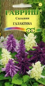 Сальвия Галактика карликовая, смесь/Гавриш/цп 8 шт.