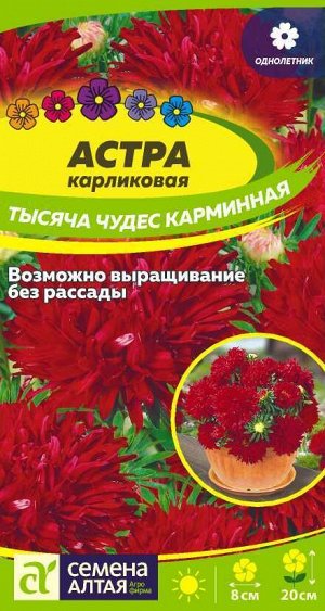 Астра Тысяча чудес карминная карликовая /Сем Алт/цп 0,2 гр.