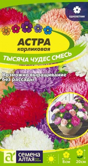 Цветы Астра Тысяча чудес смесь карликовая 0,2 гр