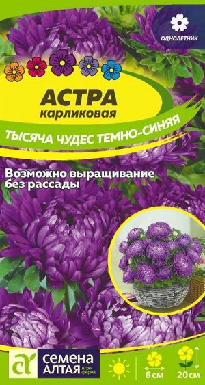 Астра Тысяча чудес темно-синяя карликовая 0,2 гр