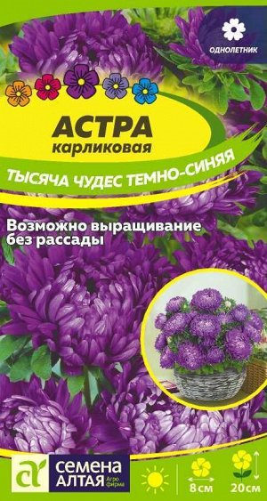 Цветы Астра Тысяча чудес темно-синяя карликовая 0,2 гр