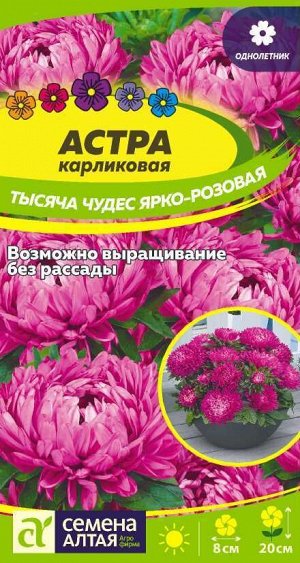 Цветы Астра Тысяча чудес ярко-розовая карликовая 0,2 гр