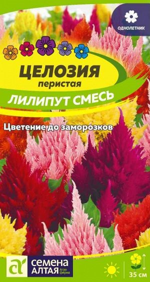 Цветы Целозия Лилипут смесь Перистая 0,1 гр