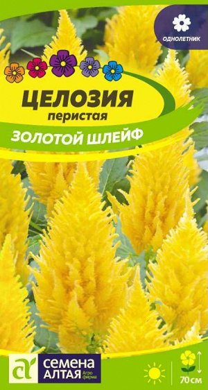Цветы Целозия перистая Золотой шлейф  0,2