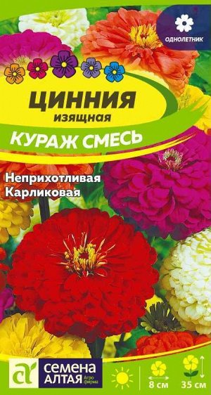 Цветы Цинния Кураж смесь карликовая 0,3 гр