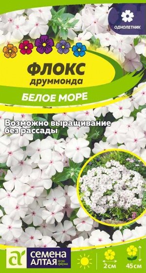Флокс Белое Море друммонда 0,05гр