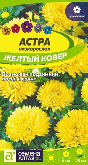 Астра Желтый Ковер низкорослая/Сем Алт/цп 0,2 гр.