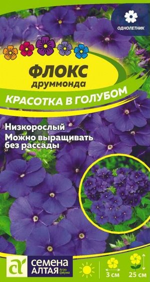 Флокс Красотка в голубом Друммонда 0,05 гр