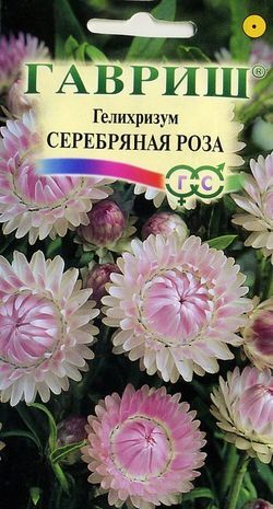 Гелихризум Серебряная Роза/Гавриш/цп 0,01 гр.