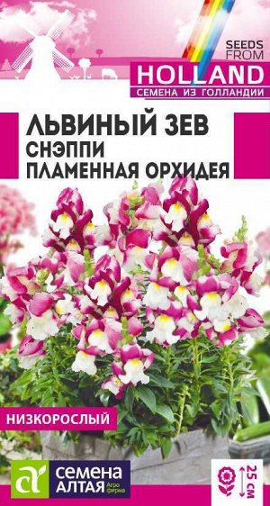 Львиный зев Снэппи Пламенная орхидея 10 шт